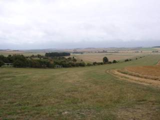 Gallops 9.jpg