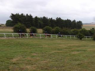 Gallops 11.jpg