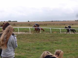 Gallops 12.jpg