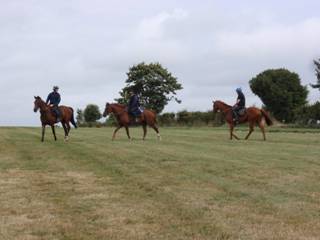 Gallops 13.jpg
