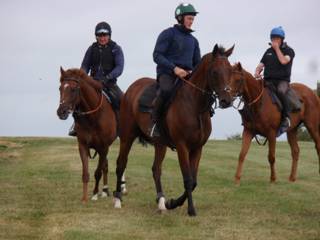 Gallops 14.jpg