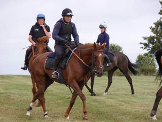 Gallops 15.jpg