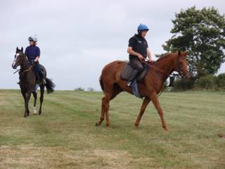 Gallops 16.jpg