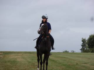 Gallops 17.jpg