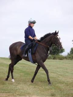 Gallops 18.jpg