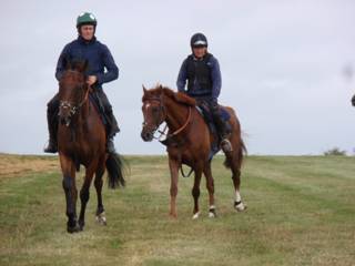 Gallops 20.jpg