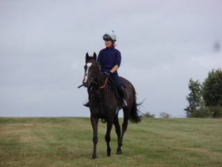 Gallops 21.jpg