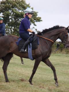 Gallops 22.jpg