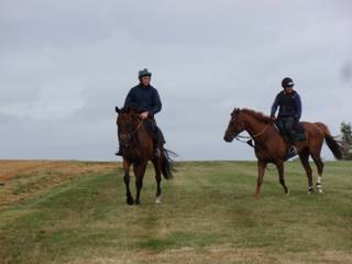 Gallops 23.jpg