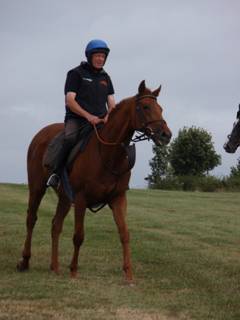 Gallops 24.jpg