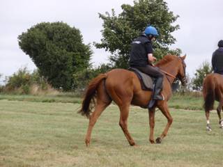 Gallops 25.jpg