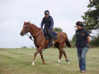 Gallops 26.jpg