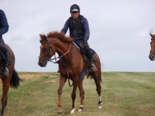 Gallops 27.jpg