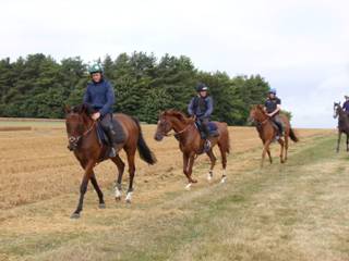 Gallops 28.jpg