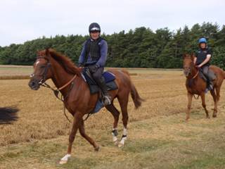 Gallops 29.jpg