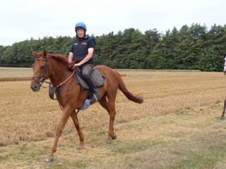 Gallops 30.jpg