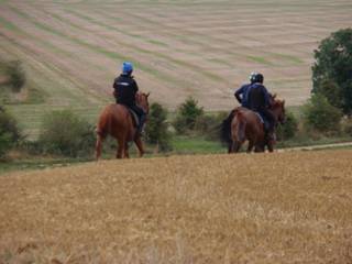 Gallops 31.jpg