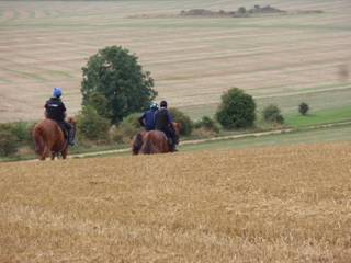 Gallops 32.jpg