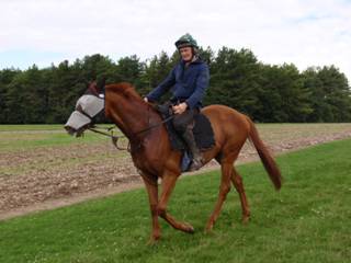 27 Gallops.jpg