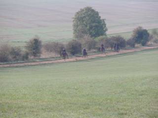 b Gallops.jpg
