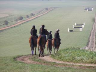 i Gallops.jpg