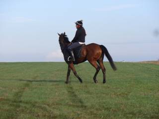 t Gallops Champas.jpg