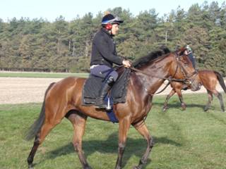 u Gallops Champas.jpg