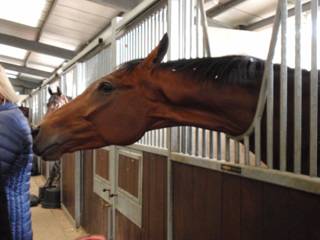 a Stable Another Crick.jpg