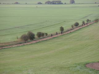Gallops 5.jpg