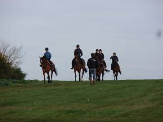 Gallops 6.jpg