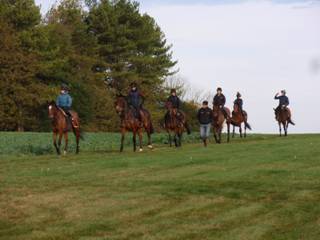 Gallops 7.jpg