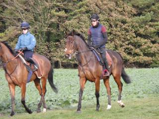 Gallops 9.jpg