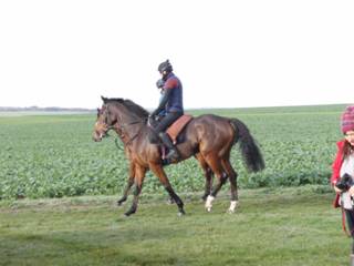 Gallops 10.jpg