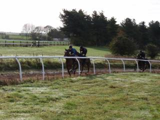 Gallops 13.jpg