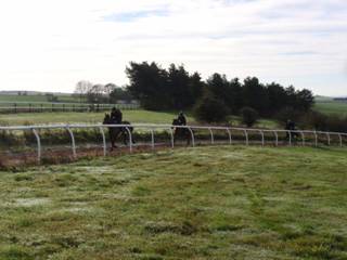 Gallops 14.jpg