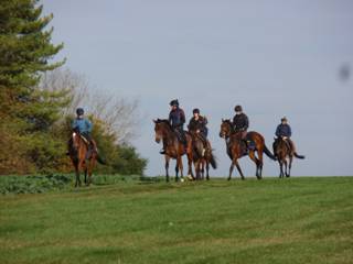 Gallops 17.jpg