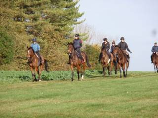 Gallops 18.jpg
