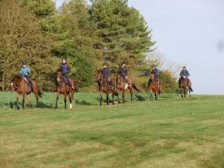 Gallops 19.jpg