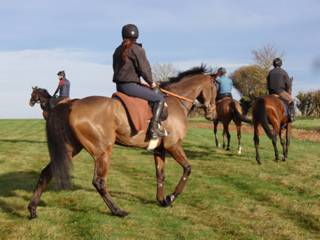Gallops 21.jpg