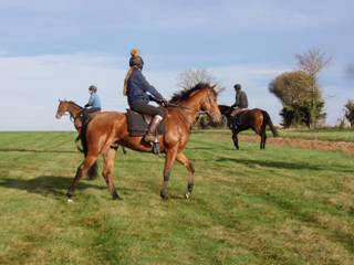 Gallops 22.jpg