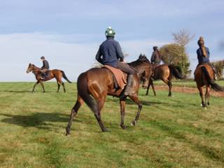 Gallops 23.jpg