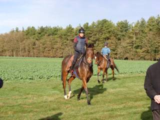 Gallops 24.jpg