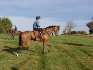 Gallops 26.jpg