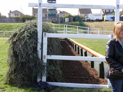 fence 3.jpg