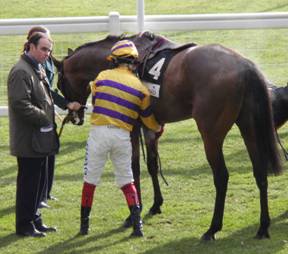 Ascot 14 Feb red 2.jpg