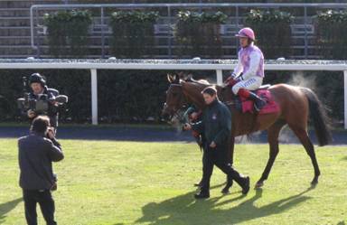 Ascot 14 Feb red 8.jpg