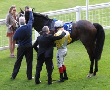 Ascot race 4 d r.jpg