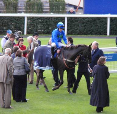 Ascot race 4 f r.jpg