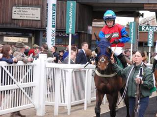 Race 5 d Top Cat Henry.jpg