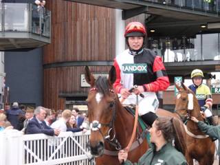 Race 5 n Pacha Du Polder.jpg
